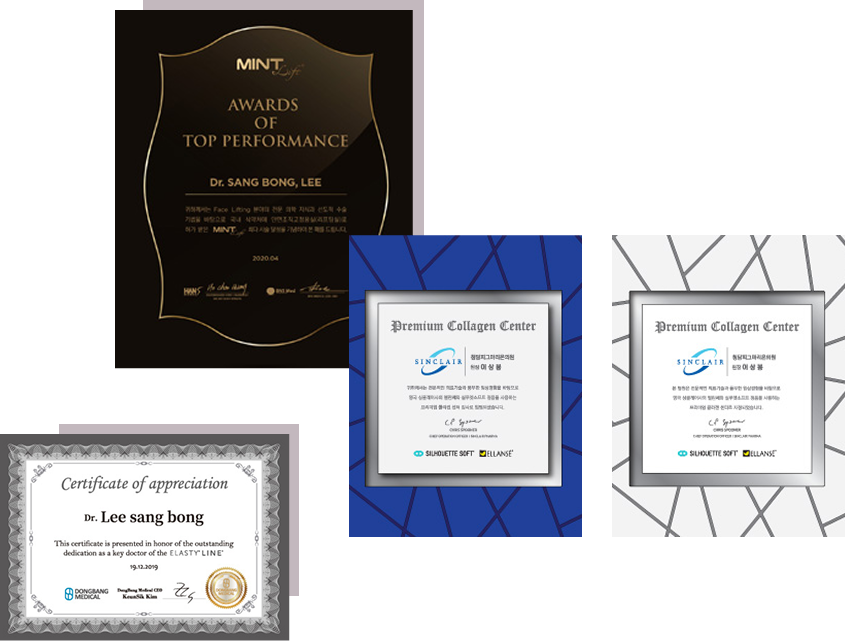 인증서와 상상의 장 영역