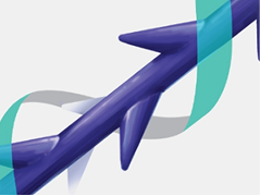 모든 방향에서 고정